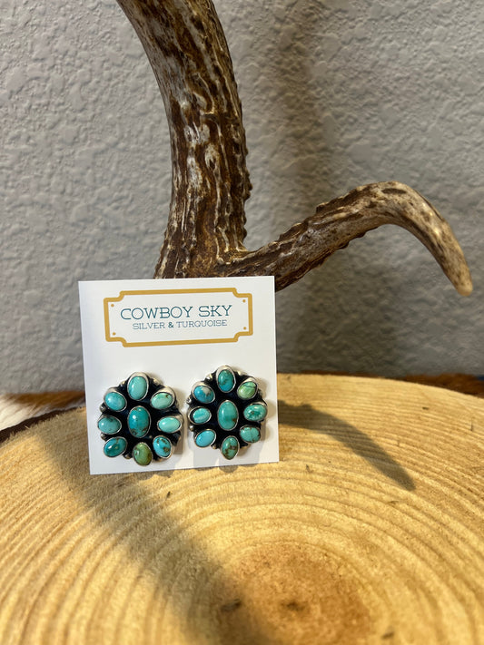 Sonoran Gold Turquoise