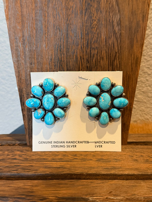 Sonoran Gold Full Cluster