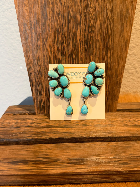 Kingman Cluster Dangle